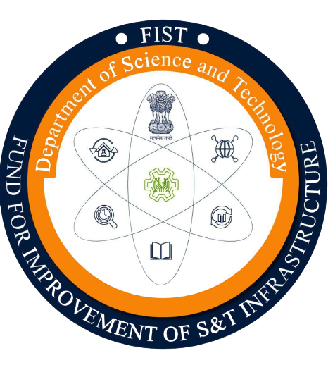 DST-FIST Image